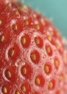 After - Todo Lujo de Detalles