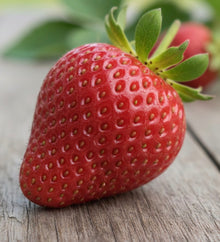 Before - Todo Lujo de Detalles