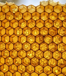 After - Súper feliz con mi ZoomLy™